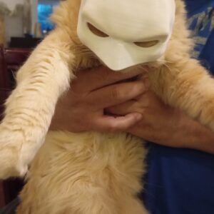 Mascara de Batman para gato